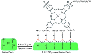 Graphical abstract: Photoactive cotton fabric for UV protection and self-cleaning