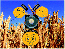 Graphical abstract: Correlation between lipophilicity of newly synthesized ionic liquids and selected Fusarium genus growth rate