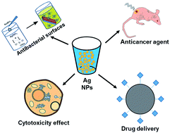 Graphical abstract: Coated silver nanoparticles: synthesis, cytotoxicity, and optical properties
