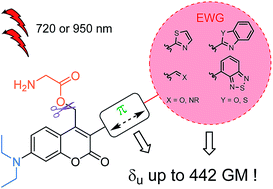 Graphical abstract: Dual-wavelength efficient two-photon photorelease of glycine by π-extended dipolar coumarins