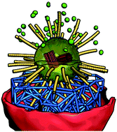 Graphical abstract: Biomimetic self-assembly of subcellular structures