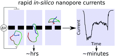 Graphical abstract: Multi-resolution simulation of DNA transport through large synthetic nanostructures