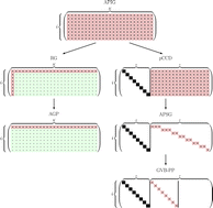 Graphical abstract: Geminal-based electronic structure methods in quantum chemistry. Toward a geminal model chemistry