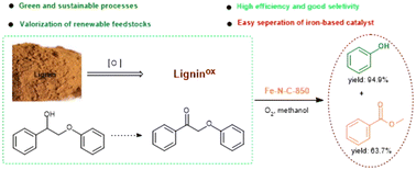 Graphical abstract: A sustainable iron-catalyzed aerobic oxidative C–C and C–O bond cleavage of a lignin model to phenol and methyl benzoate