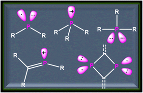 Graphical abstract: Phosphorus radicals and radical ions