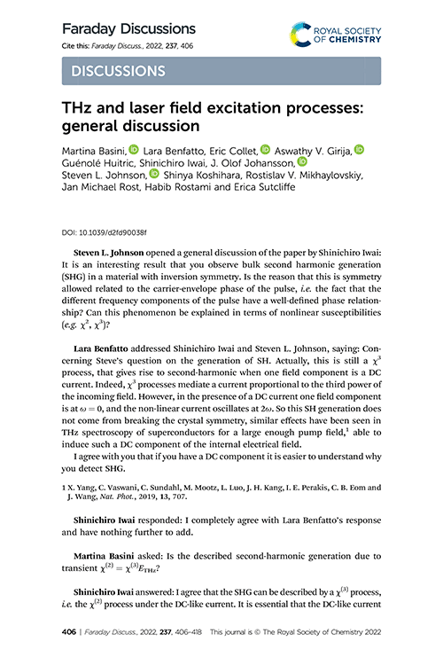 THz and laser field excitation processes: general discussion