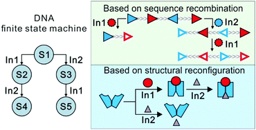 Graphical abstract: DNA nanotechnology-empowered finite state machines