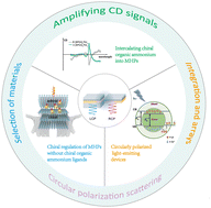 Graphical abstract: Metal halide perovskites: promising materials toward next-generation circularly polarized luminescence