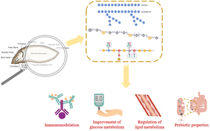 Graphical abstract: Structural characteristics and biological activities of polysaccharides from barley: a review