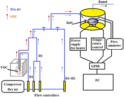 Graphical abstract: Chemical VOC sensing mechanism of sol–gel ZnO pellets and linear discriminant analysis for instantaneous selectivity