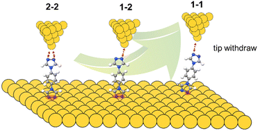 Graphical abstract: The regulation effect of coordination number on the conductance of single-molecule junctions