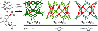 Graphical abstract: Topological control in paddlewheel metal–organic cages via ligand length variation