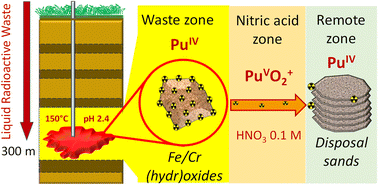 Graphical abstract: Effect of hydrothermal treatment on plutonium retention in deep liquid radioactive waste disposal
