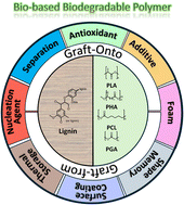 Graphical abstract: Biodegradable polymers: from synthesis methods to applications of lignin-graft-polyester