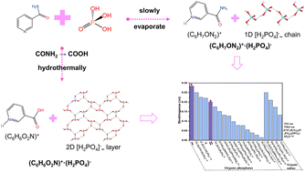Graphical abstract: Designing promising ultraviolet (UV) birefringent crystals with different hydrogen-bonded phosphate frameworks
