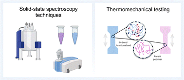 Graphical abstract: Solidifying the role of hydrogen bonds in conjugated polymers for wearable electronics