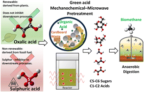 Graphical abstract: Green catalyst-based cardboard waste conversion into biogas