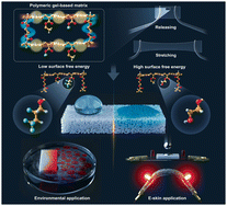 Graphical abstract: Stretchable polymeric-gel-based sponge with tunable wettability via segmented network design