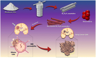 Graphical abstract: Engineering biocompatible hydrogen titanate nanocarriers with blood brain barrier (BBB) crossing potential for doxorubicin delivery to glioma cells