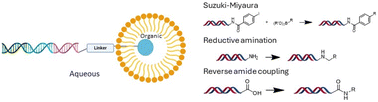 Graphical abstract: Improvements in micelle promoted DNA-encoded library synthesis by surfactant optimisation