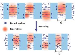 Graphical abstract: Investigation on the fast phase transition mechanism of flow-induced oriented iPB-1