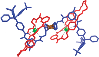 Graphical abstract: A redox-active [3]rotaxane capable of binding and electrochemically sensing chloride and sulfate anions