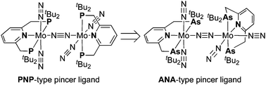 Graphical abstract: Preparation and reactivity of molybdenum–dinitrogen complexes bearing an arsenic-containing ANA-type pincer ligand