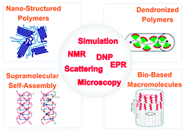 Graphical abstract: Advanced magnetic resonance strategies for the elucidation of nanostructured soft matter