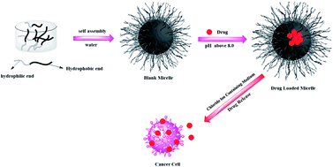 Graphical abstract: Polymeric micelles as drug delivery vehicles