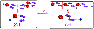 Graphical abstract: Photoresponsive supramolecular self-assembly of monofunctionalized pillar[5]arene based on stiff stilbene