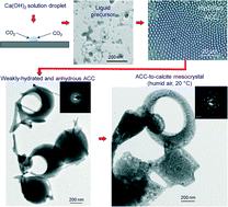 Graphical abstract: Formation of amorphous calcium carbonate and its transformation into mesostructured calcite