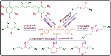 Graphical abstract: Recent developments in chemistry and biology of curcumin analogues