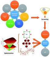 Graphical abstract: Experimental design and machine learning strategies for parameters screening and optimization of Hantzsch condensation reaction for the assay of sodium alendronate in oral solution