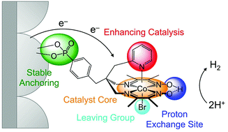 Graphical abstract: Enhancing H2 evolution performance of an immobilised cobalt catalyst by rational ligand design