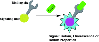 Graphical abstract: Sensing in aqueous medium: mechanism and its application in the field of molecular recognition