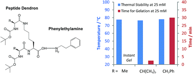 Graphical abstract: Speed versus stability – structure–activity effects on the assembly of two-component gels