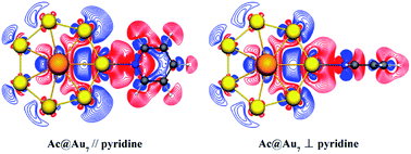 Graphical abstract: A strong charge-transfer effect in surface-enhanced Raman scattering induced by valence electrons of actinide elements