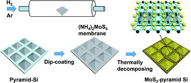 Graphical abstract: Large-area MoS2 thin layers directly synthesized on Pyramid-Si substrate for surface-enhanced Raman scattering