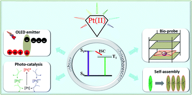 Graphical abstract: Highly phosphorescent platinum(ii) emitters: photophysics, materials and biological applications