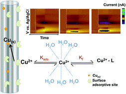 Graphical abstract: Fast voltammetry of metals at carbon-fiber microelectrodes: rapid determination of solution formation constants