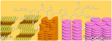 Graphical abstract: Dimension-controlled assemblies of modified bipyrroles stabilized by electron-withdrawing moieties