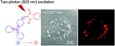 Graphical abstract: An easily accessible aggregation-induced emission probe for lipid droplet-specific imaging and movement tracking