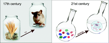 Graphical abstract: From underwear to non-equilibrium thermodynamics: physical chemistry informs the origin of life