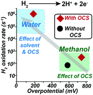 Graphical abstract: Optimizing conditions for utilization of an H2 oxidation catalyst with outer coordination sphere functionalities