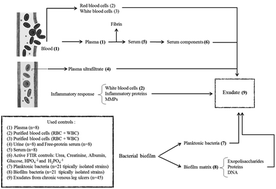 Graphical abstract: FTIR spectroscopy of chronic venous leg ulcer exudates: an approach to spectral healing marker identification