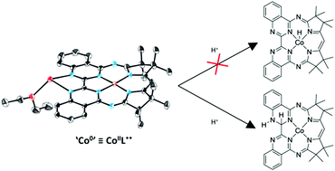 Graphical abstract: A macrocyclic ‘Co0’ complex: the relevance of ligand non-innocence to reactivity