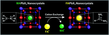 Graphical abstract: Synthesis of formamidinium lead halide perovskite nanocrystals through solid–liquid–solid cation exchange