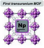 Graphical abstract: Synthesis and structural characterization of the first neptunium based metal–organic frameworks incorporating {Np6O8} hexanuclear clusters