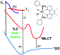 Graphical abstract: Thermal equilibration between excited states or solvent effects: unveiling the origins of anomalous emissions in heteroleptic Ru(ii) complexes