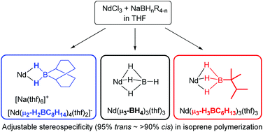 Graphical abstract: Stereospecific polymerization of conjugated dienes using neodymium alkylborohydride complexes